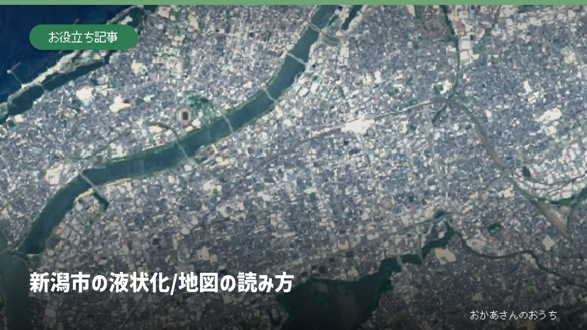 新潟市 液状化/地図の読み方。国土地理院の航空写真を使用した説明画像。被害写真ではありません。