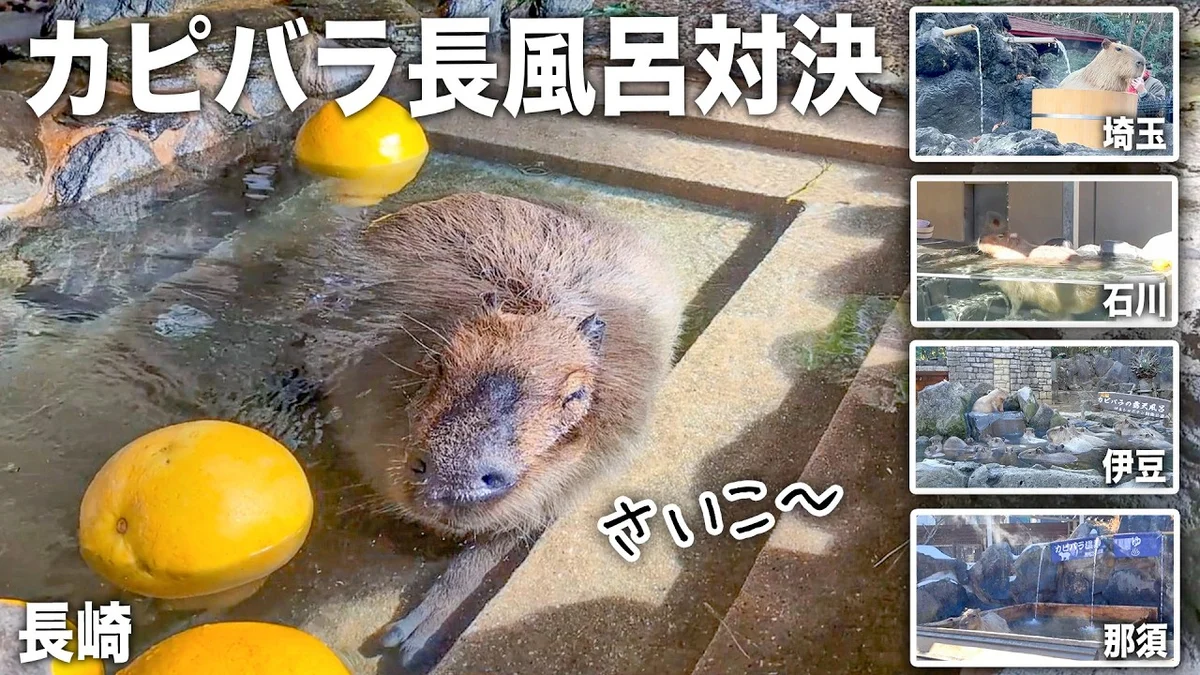 長崎バイオパーク公式の長風呂対決総集編