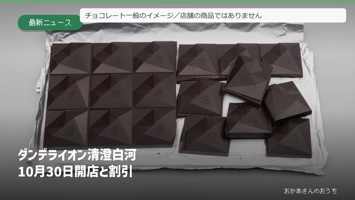 チョコレート一般のイメージ/店舗の商品ではありません/ダンデライオン 清澄白河/開店と割引