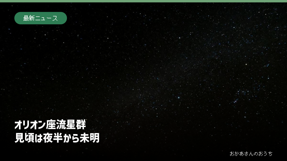 暗い空に広がる星のイメージ写真。2026年のオリオン座流星群を撮影したものではありません。