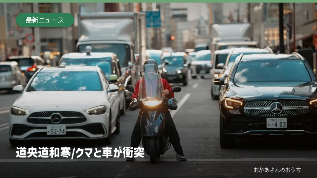 道央道 和寒/クマと車が衝突の記事アイキャッチ