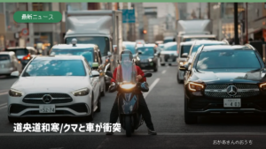 道央道 和寒/クマと車が衝突の記事アイキャッチ