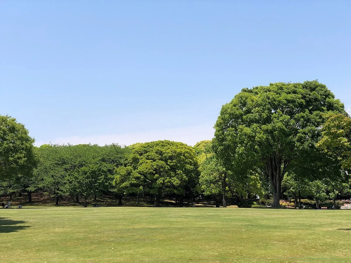 富士市中央公園の芝生広場