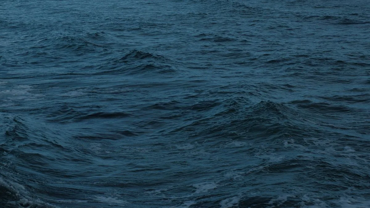 夕暮れの暗い海面に、うねりが重なっている