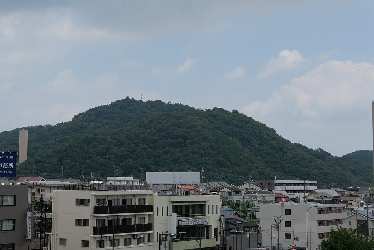 秦野市の住宅街の向こうに見える、木々におおわれた権現山