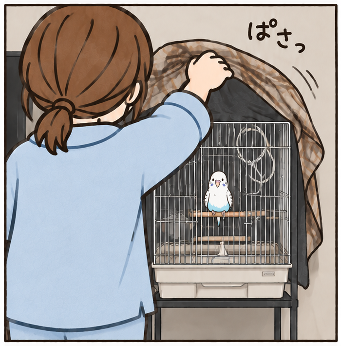 後ろ姿でカバーを開ける