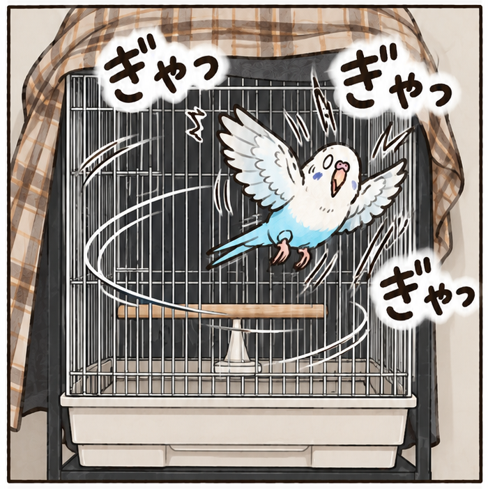 ケージの中を飛び回る