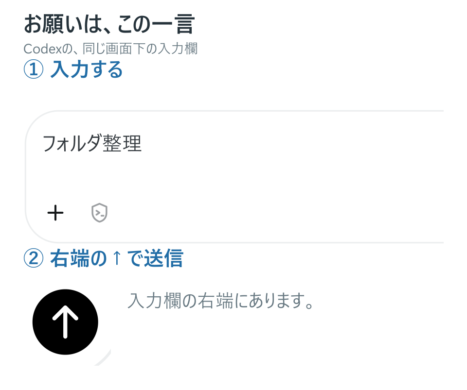 フォルダ整理と入力