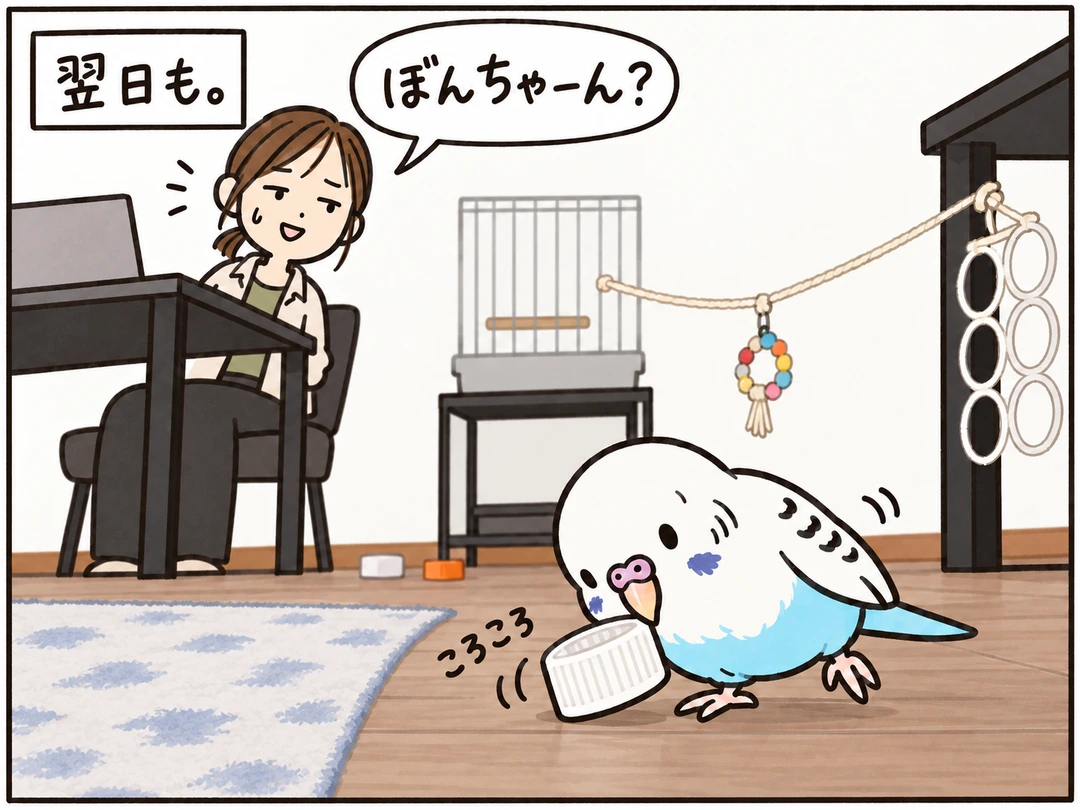 翌日もキャップ遊びに夢中のぼんちゃん