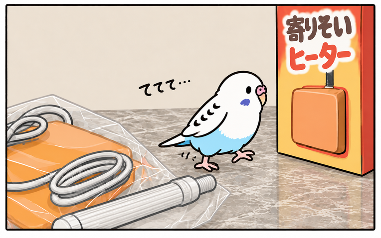 ぼんちゃんが止まり木から降り、箱へててて…と歩いていく。
