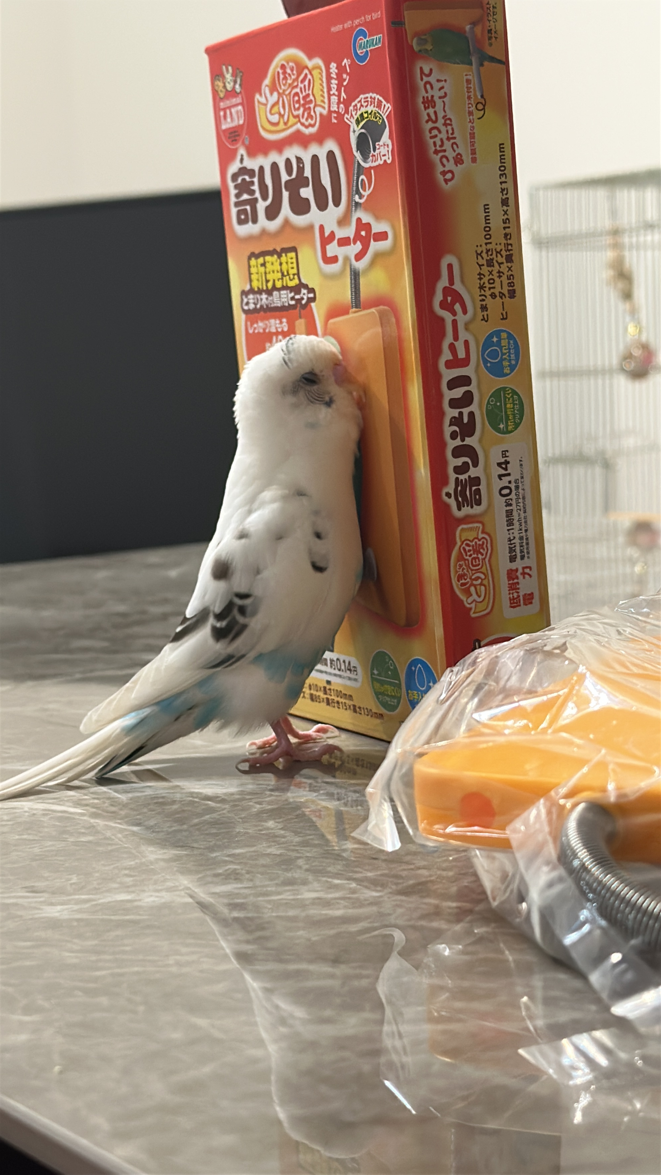 実物のぼんちゃんが、寄りそいヒーターの箱へ頬と胸を寄せている。手前に袋入りの本体。