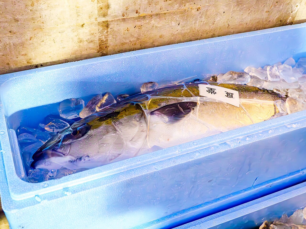 魚市場に並んだブリ