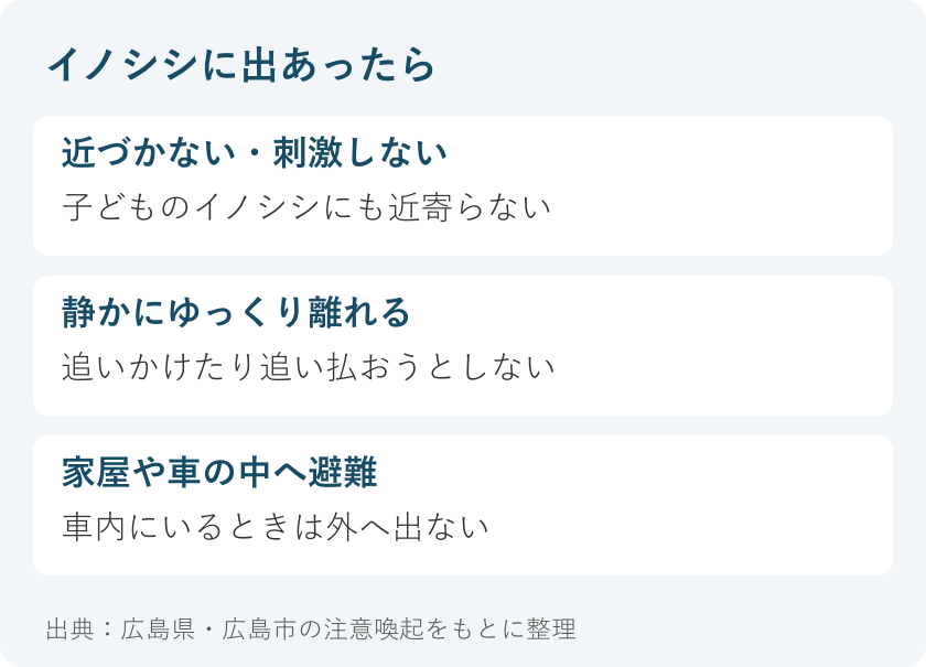 イノシシに出あったら:近づかない・刺激しない、子どものイノシシにも近寄らない。静かにゆっくり離れる、追いかけたり追い払おうとしない。家屋や車の中へ避難、車内にいるときは外へ出ない