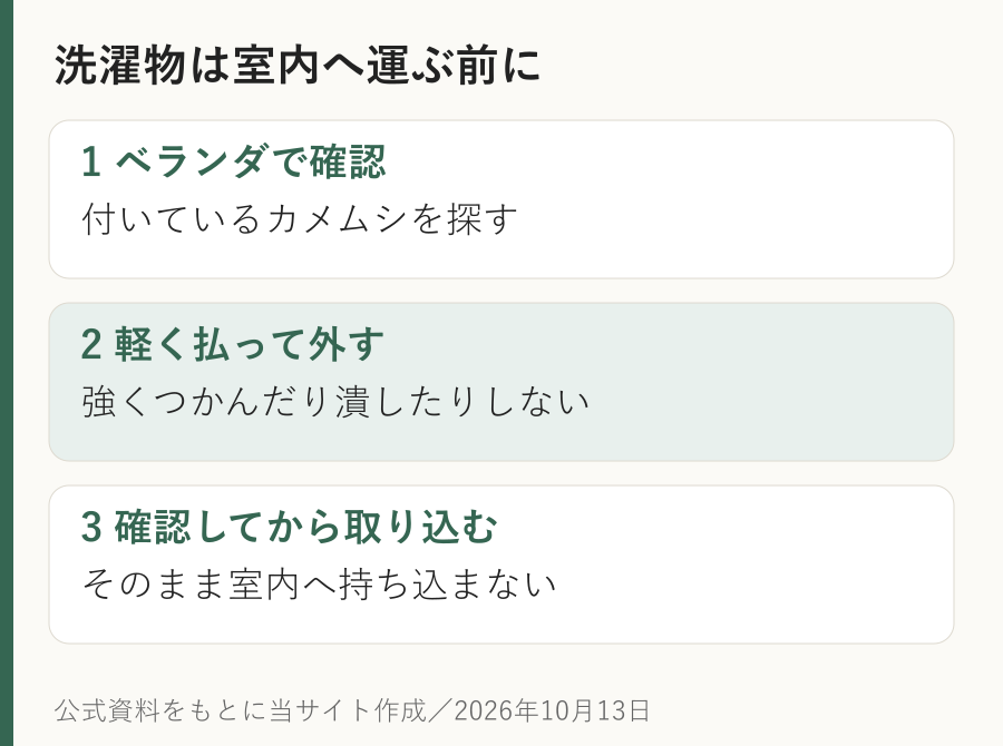 洗濯物を取り込む前にカメムシの付着を確認し、軽く払ってから室内へ運ぶ手順図。