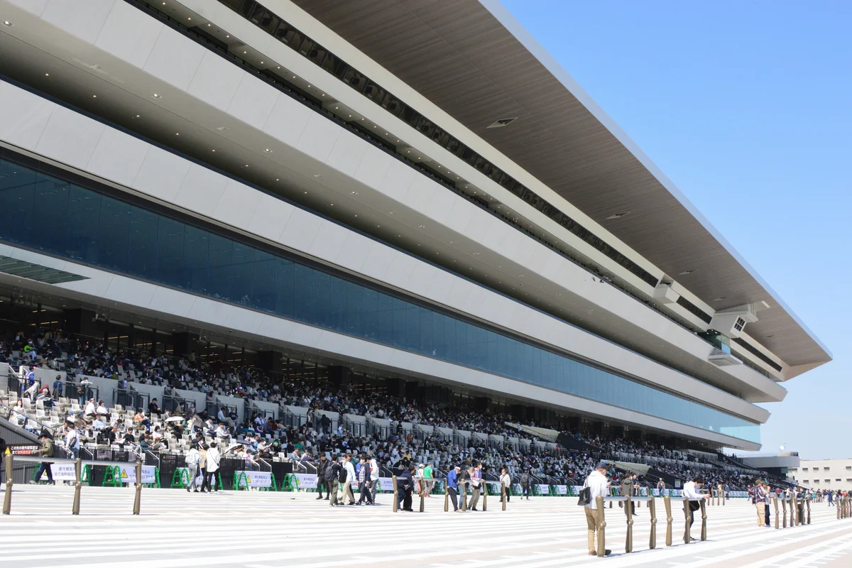 2023年の京都競馬場のスタンドを写した参考写真