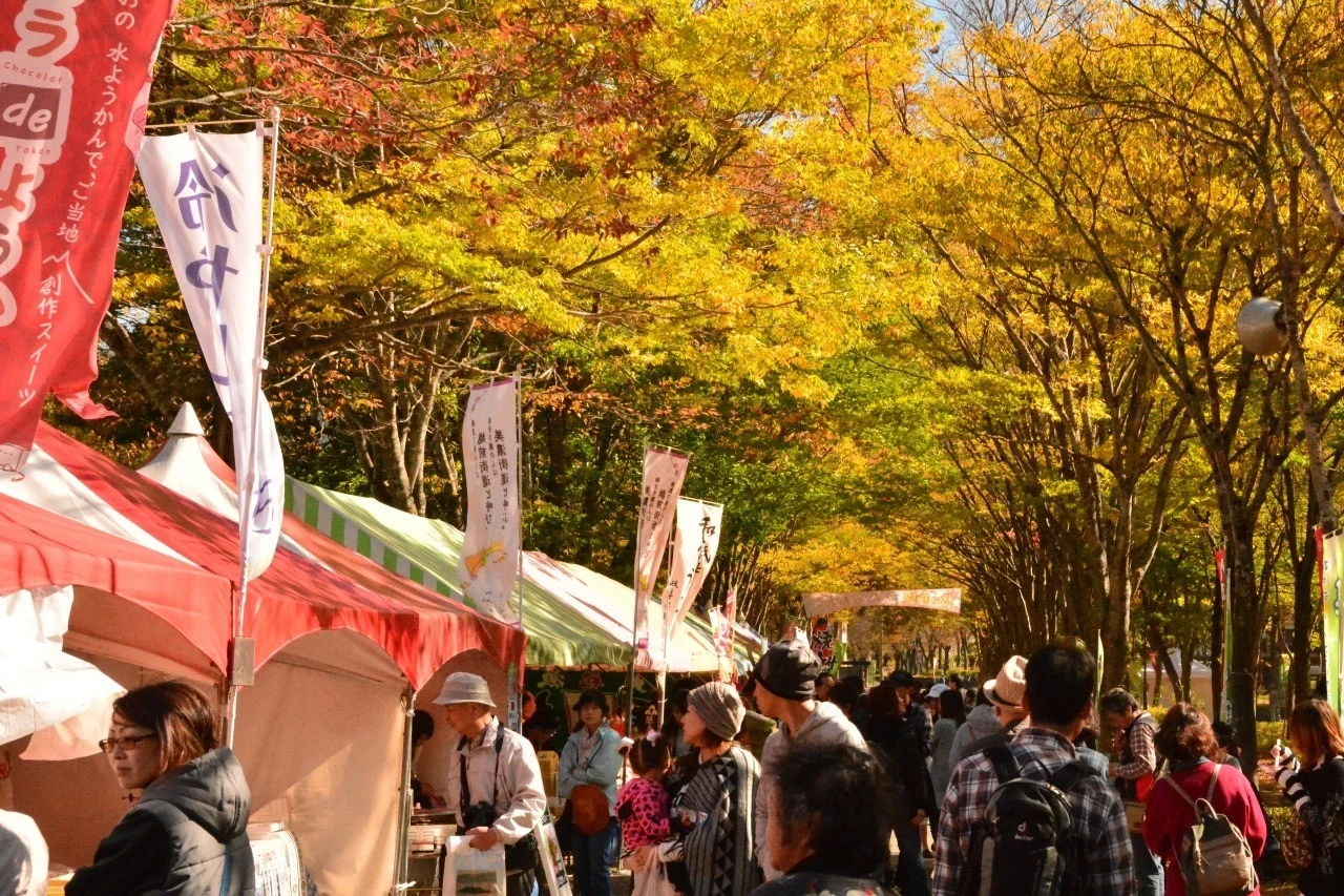九頭竜紅葉まつりの公式案内に掲載された紅葉と露店の会場写真
