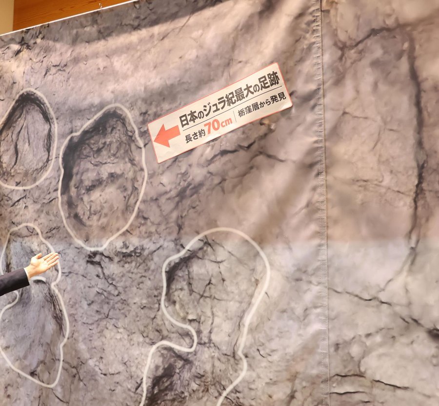 南相馬市博物館で展示される発掘現場の原寸大パネル。岩の表面に白い線で囲まれた足跡がいくつも並び、「日本のジュラ紀最大の足跡　長さ約70cm　栃窪層から発見」の札がついている