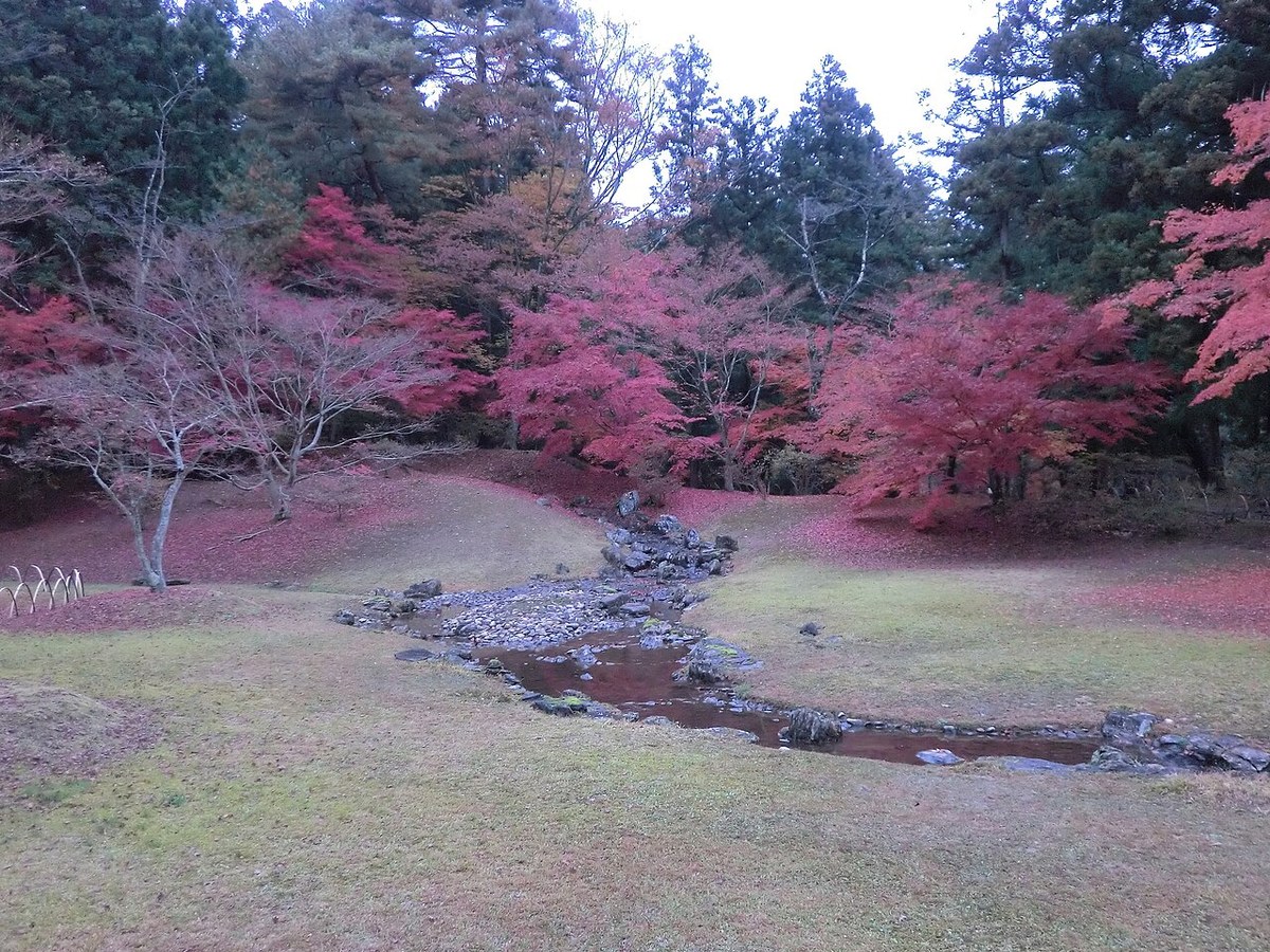 毛越寺の遣水（やりみず）。芝生の間を細い流れが曲がりながら通り、まわりのモミジが赤く色づいている