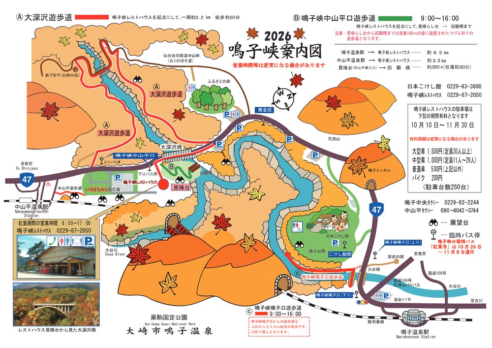 2026鳴子峡案内図（鳴子温泉郷観光協会）。鳴子峡レストハウスを起点に大深沢遊歩道は一周約2.2キロ・徒歩約50分、中山平口遊歩道と鳴子口遊歩道は9時から16時。レストハウスの駐車場は10月10日から11月30日まで有料で普通車500円、約250台。臨時バス紅葉号は10月26日から11月8日運行