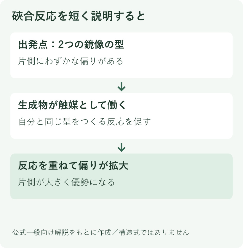 小さな鏡像体の偏りが、生成物の自己触媒作用で大きくなる硤合反応の考え方を示す模式図