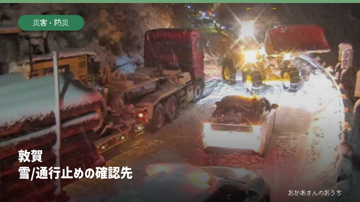 敦賀 雪/通行止めの確認先のアイキャッチ（2026年1月の過去資料写真）