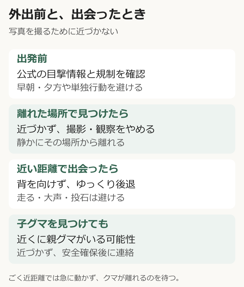 出発前に公式情報を確認し、遠くのクマには近づかず、近距離なら背を向けずゆっくり後退し、子グマにも接近しない行動の図解