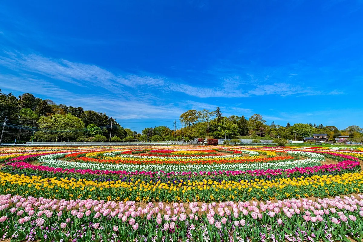 あけぼの山農業公園