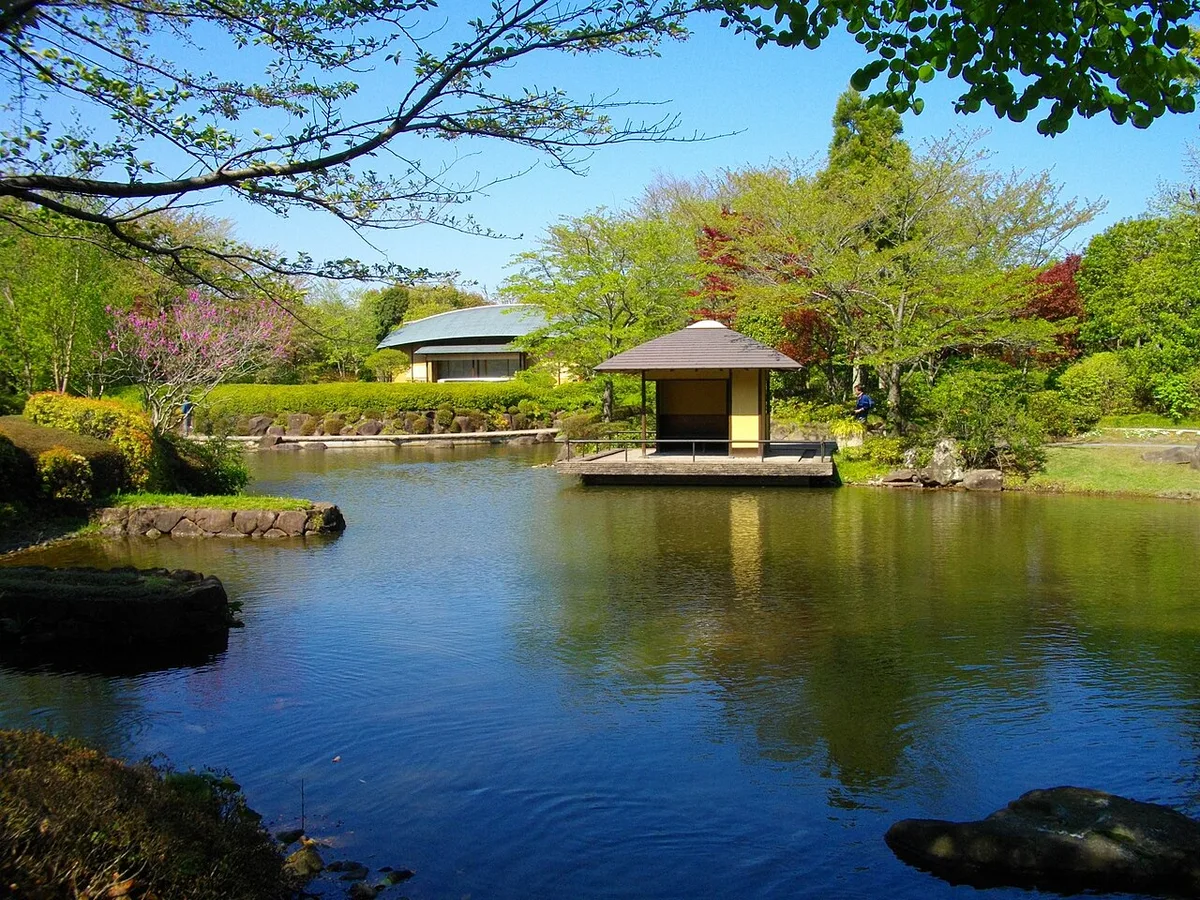 柏の葉公園