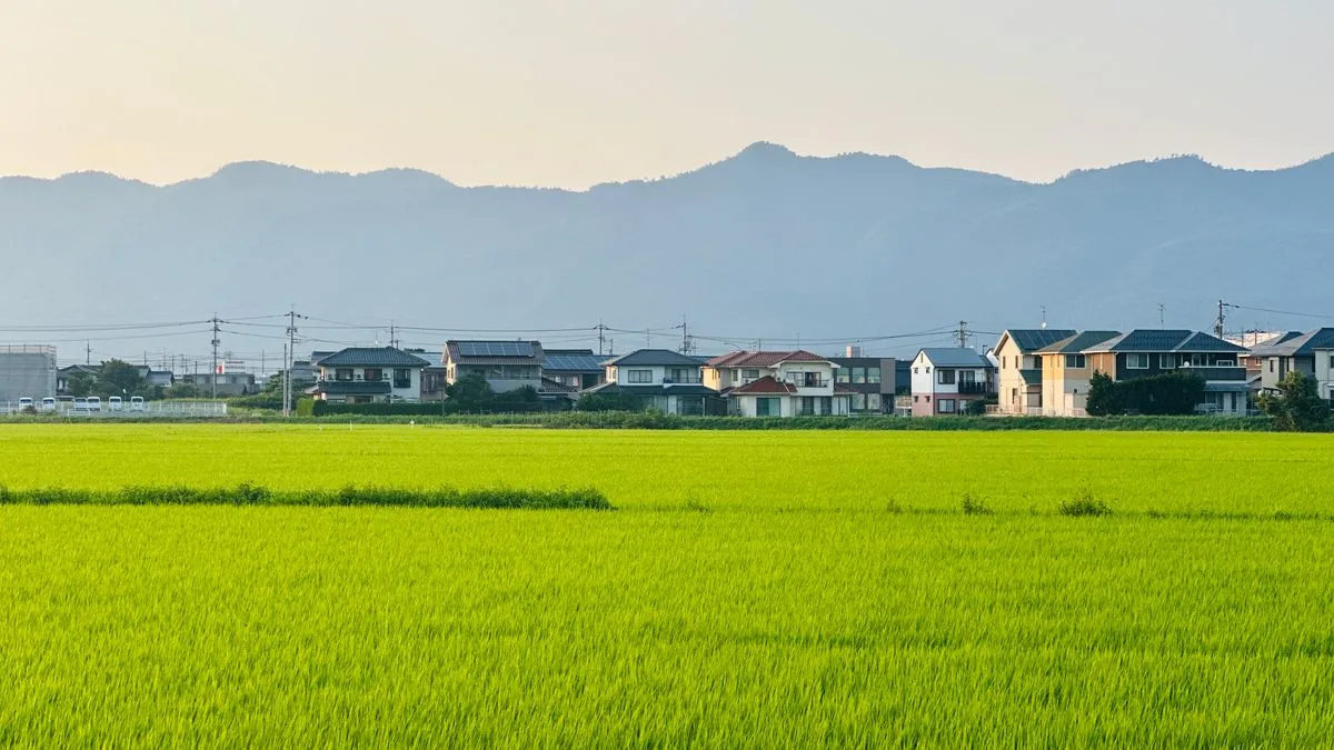 水田の向こうに戸建ての住宅が並び、背景に山が見える地方の住宅地